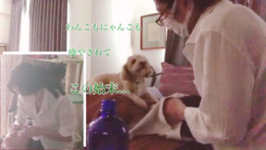 癒し画像